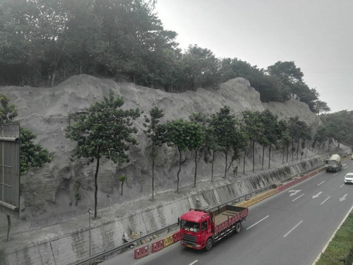 1509952671443097167.jpg 市市政设施局顺利完成内环快速路四处边坡安全整治工程02.jpg